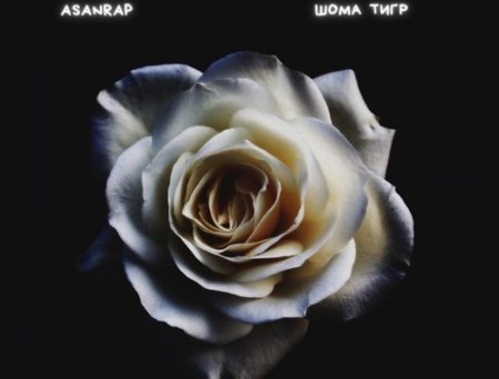 Asanrap - Шома Тигр