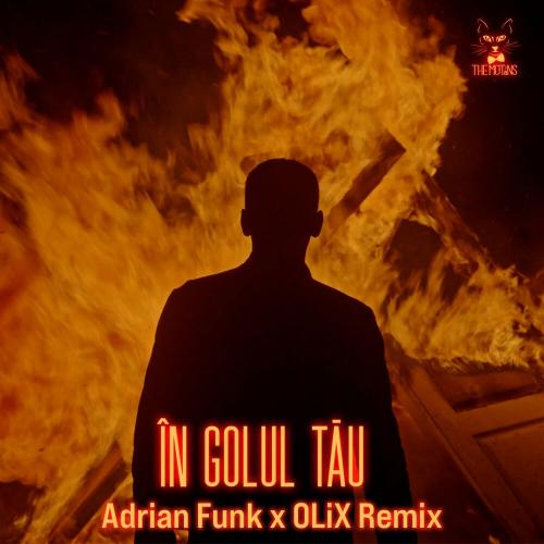 The Motans - In Golul Tau (Adrian Funk X Olix Remix)