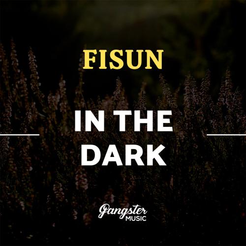 Fisun - In the Dark