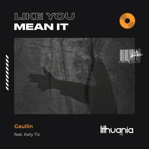 Gaullin feat. Katy Tiz - Like You Mean It