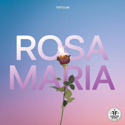 TRITICUM - ROSA MARIA