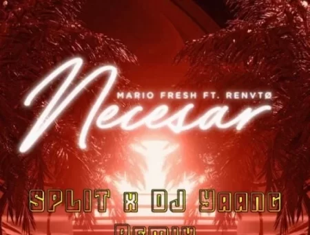 Mario Fresh & Renvto - Necesar (Split & DJ Yaang Remix)